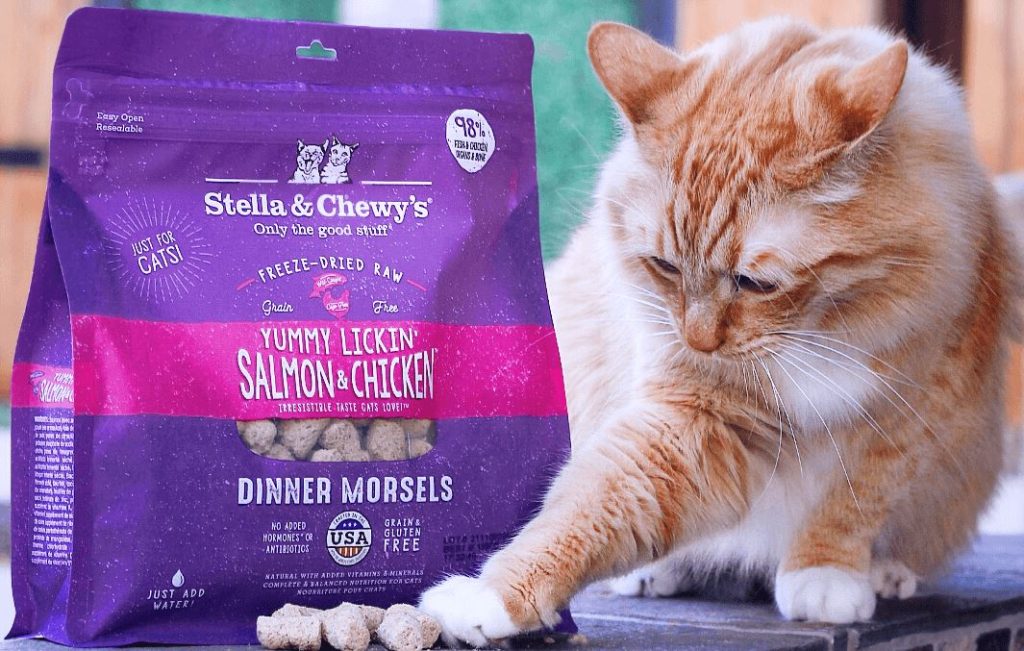Stella and Chewy Cat Food Reviews