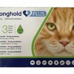 The Comprehensive Guide to Stronghold Plus for Cats